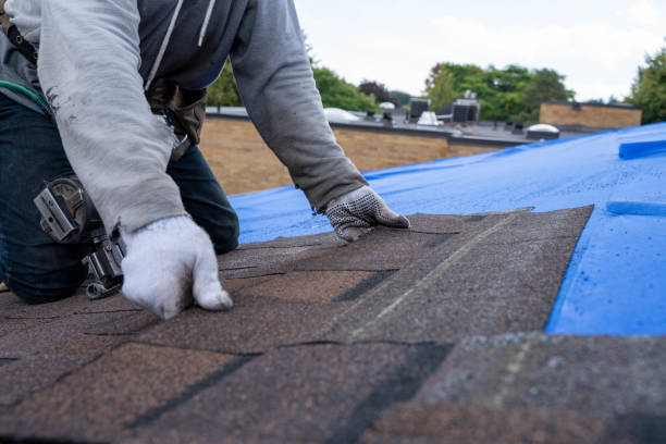 Roof Insulation in Anna, IL